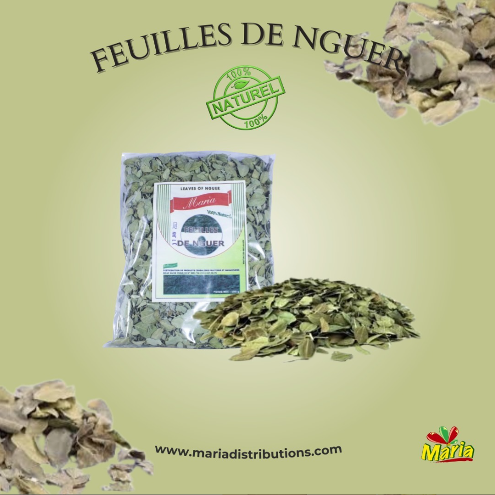 FEUILLE DE NGUER (carton 24 sachets)
