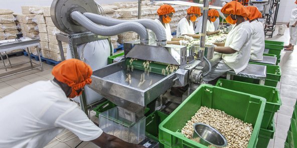 De l’Artisanal à l’Industriel